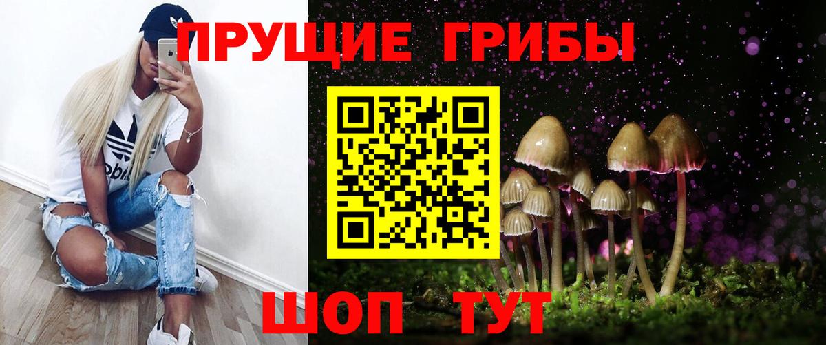 Галлюциногенные грибы Psilocybine cubensis  Галлюциногенные грибы Cubensis  Черняховск  Вход с VPN 